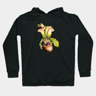 Lady Slipper Orchid Watercolor Paphiopedilum Hoodie